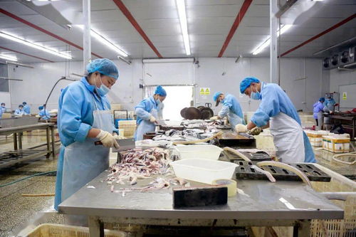 走向我們的小康生活 弘玖水產(chǎn)一條龍服務(wù)，黑魚游出致富路